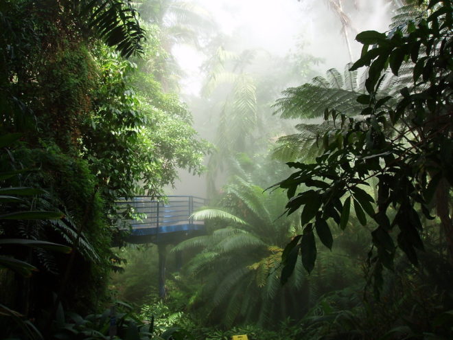 Bicentennial Conservatory Adelaide